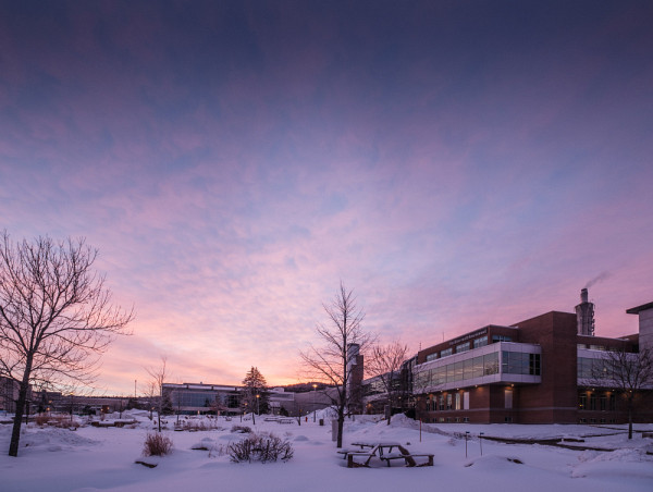 Les succ&egrave;s de l'UdeS en d&eacute;veloppement durable&nbsp;reposent sur l'int&eacute;gration de ces principes &agrave; l&rsquo;ensemble de ses activit&eacute;s et sa communaut&eacute;.