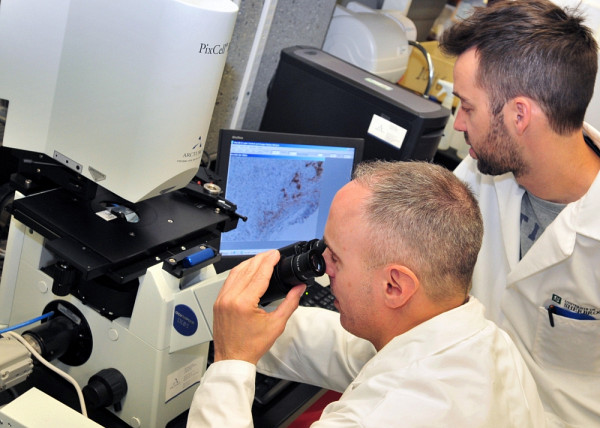 Le professeur Gobeil analyse un échantillon de tumeurs humaines au microscope sous l’œil vigilant de Jérôme Côté.