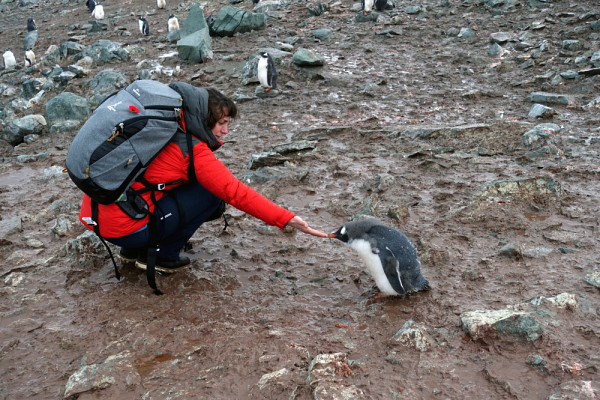 Le contact avec la faune reste le moment fort de l’aventure pour Émilie : « En Antarctique, les animaux ne craignent pas l’humain. »