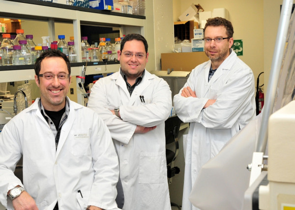 Louis-Charles Fortier, Rafael Najmanovich, Daniel Lafontaine et Éric Marsault (absent) travaillent sur le développement de nouvelles molécules ciblant le riborégulateur guanine de C. difficile pour des applications chez l'humain.