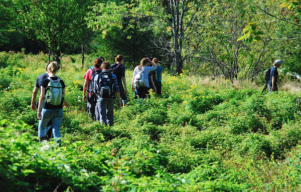 Des étudiants en écologie du Département de biologie de la Faculté des sciences explorent ce milieu naturel.