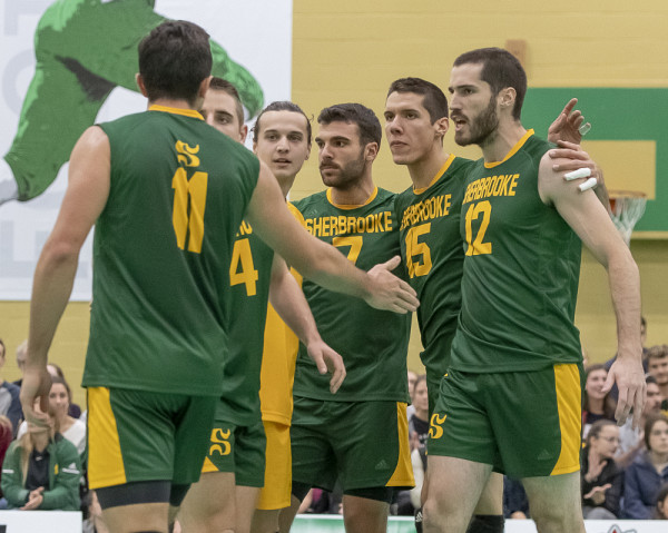 L'&eacute;quipe de volleyball masculin