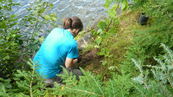 Au cours du premier stage de son baccalauréat en écologie, Raphaëlle avait pour objectif de revégétaliser les rives des cours d'eau de la région de Shawinigan.