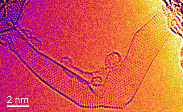 Figure 1 - L&eacute;gende compl&egrave;te au bas du texte