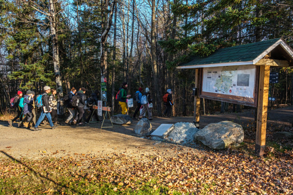 Dans le cadre de des travaux pratiques en écologie, les groupes étudiants prêtent main-forte au programme de suivi de l’intégrité écologique (PSIÉ) du parc du Mont-Bellevue.