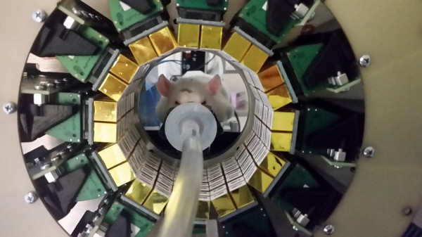 Avec son expertise technique en micro&eacute;lectronique, Caroline Paulin soutient la conception de scanners avec des collaborateurs multidisciplinaires.