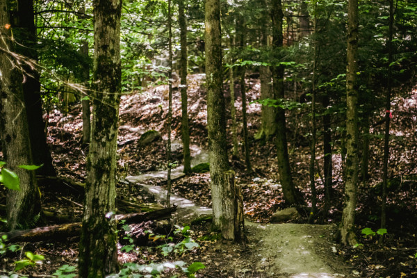 Le parc du Mont-Bellevue