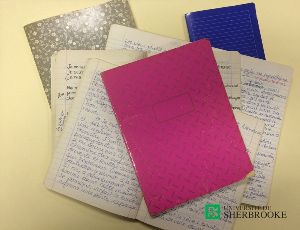 Carnets d'&eacute;critures