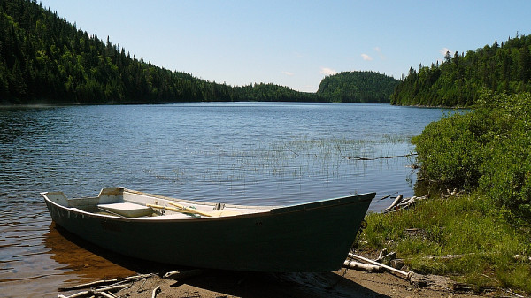 Le lac Veillette, dans la réserve faunique de Portneuf, est l'un des 24 lacs étudiés par les biologistes.