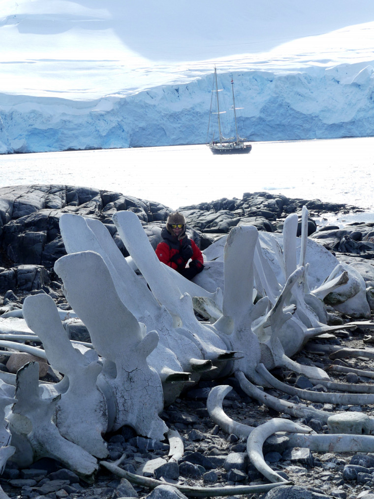 Émilie ne s’est pas laissé rebuter par les conditions extrêmes du continent de glace. La voici en présence d’une impressionnante carcasse de cétacé.