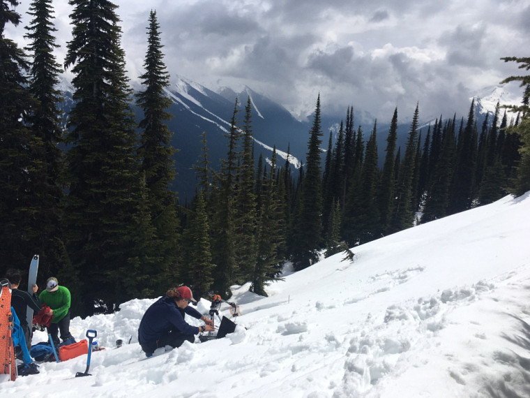 Une équipe étudiante lors d'une campagne de terrain neige alpine dans la vallée de Roger’s Pass dans le Parc national des glaciers du Canada en Colombie-Britannique. 