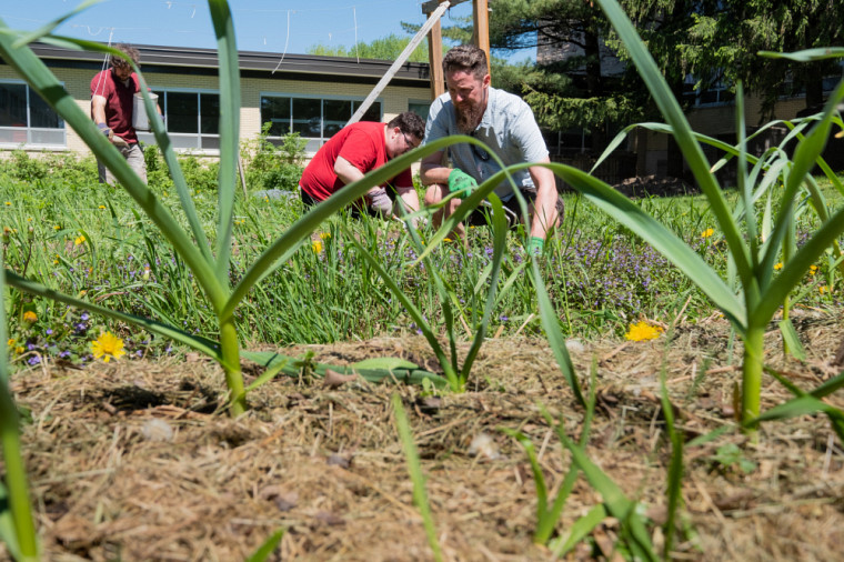 Le professeur Tristan Landry et ses étudiants réalisent un jardin ancestral à l'Université de Sherbrooke.