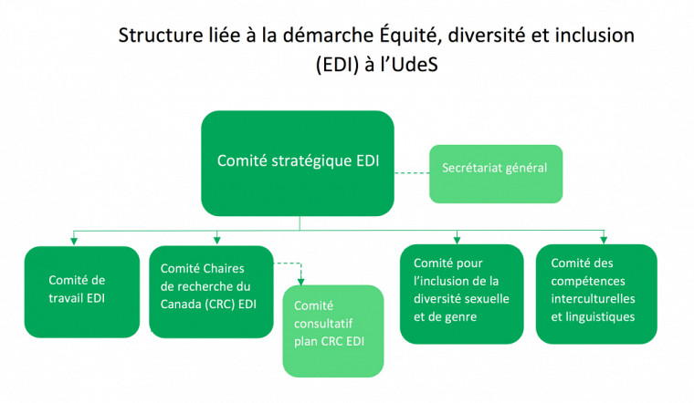 La structure liée à la démarche EDI à l'UdeS est représentée dans l'organigramme ci-dessus.