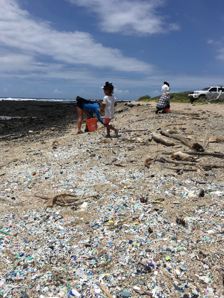 Plage Kamilo à Hawaï, envahie par des déchets de plastique