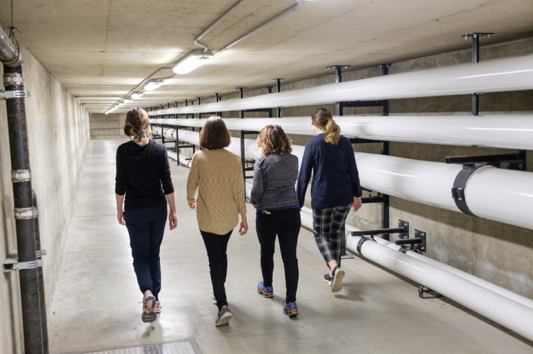 Various working groups gather to walk through the tunnels on the Main Campus or outside.