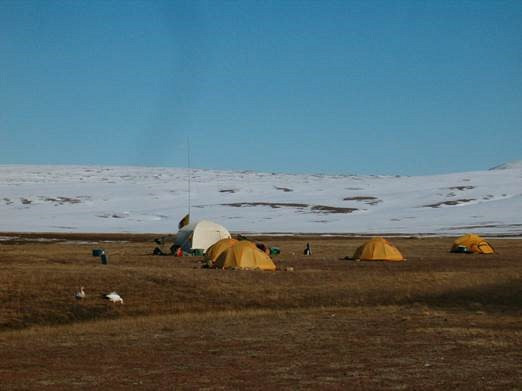Campement temporaire à South Sawtooth Lake, Île d’Ellesmere, Nunavut, mai-juin 2008. On y étudie l’hydrologie et la sédimentologie dans le lac lors de la fonte de la neige et du dégel de la « couche active » du pergélisol, celle qui dégèle à l’été.
