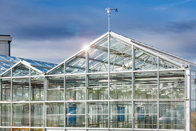 Photo des serres vue de l'extérieur