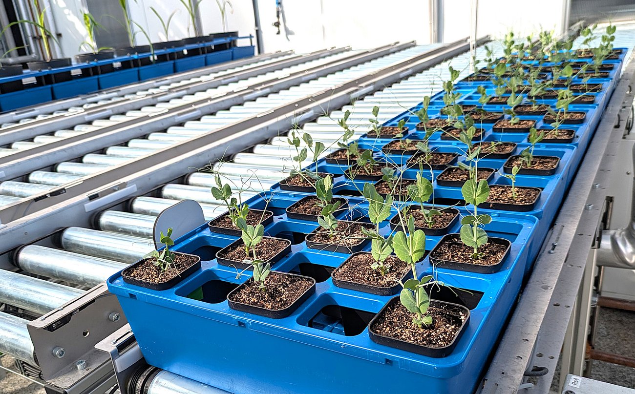 Photo d'un convoyeur