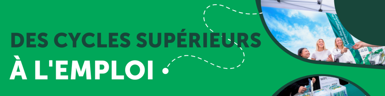 des cycles supérieurs à l'emploi