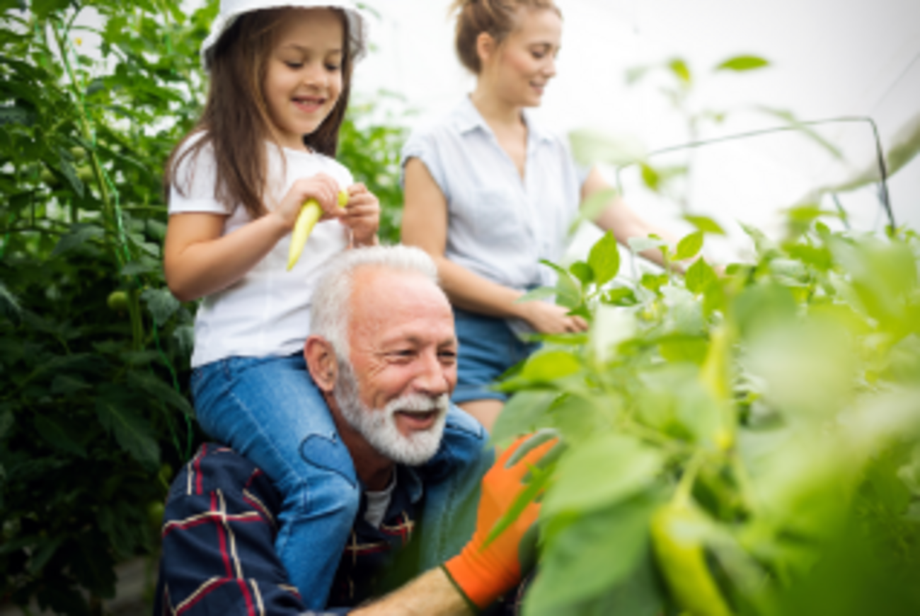Apprentissage tout au long de la vie