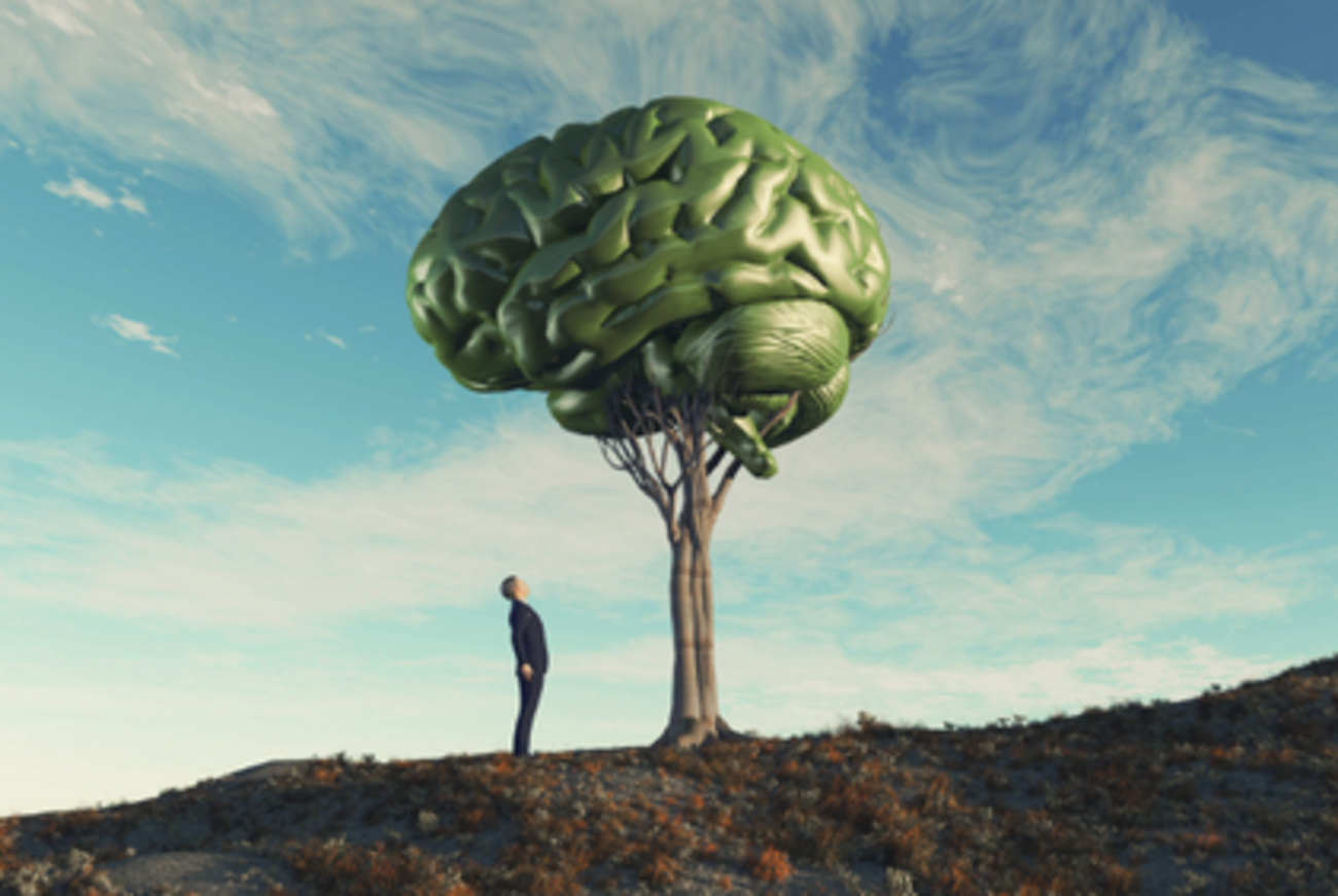 La science au service des apprentissages