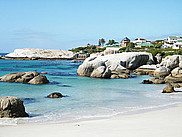 Une plage de Cape town au début de l'hiver, habitée par les pingouins pour la reproduction.