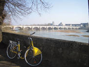 Le pont Wilson enjambe la Loire. Il a été construit au XVIIIe&nbsp;:siècle, par l'intendant François Pierre du Cluzel qui voulait redéfinir le cadre urbain de la ville.