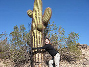 Caroline enlace un cactus du parc Ischigualasto dans la province de San Juan.