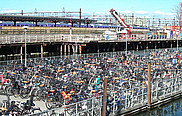 Stationnement à vélos sur le quai de la gare centrale de Malmö.