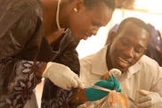 Les étudiantes et étudiants de la Faculté de médecine de l'Université de Bamako ont pu simuler les techniques chirurgicales sur des mannequins ou des modèles utilisant des pièces animales récupérées au marché.