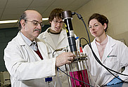 Le professeur Bernard Marcos manipule un bioréacteur en compagnie de l'étudiant Philippe Morin et de la technicienne Isabelle Arsenault.