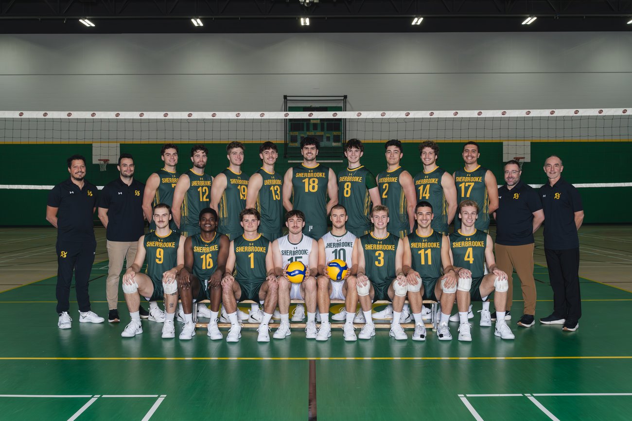 volleyball vert et or