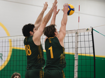 Volley