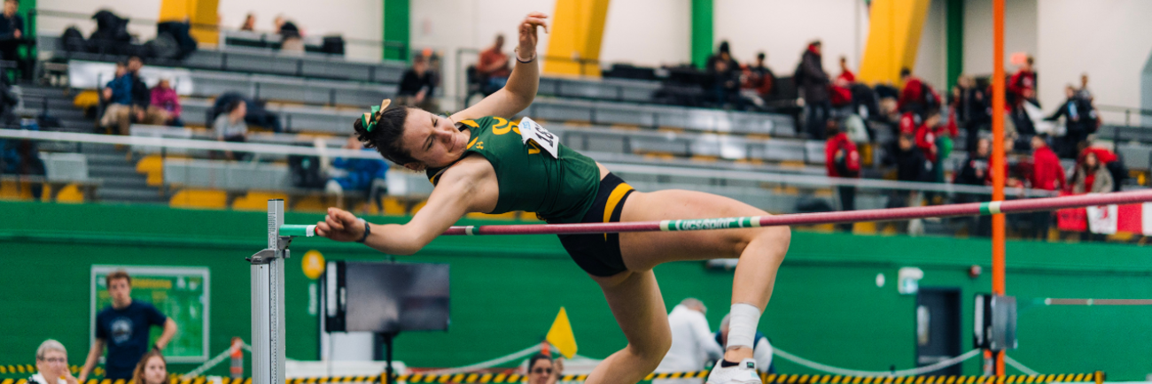 recrutement vert et or