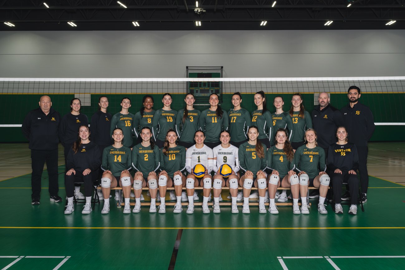 volleyball vert et or