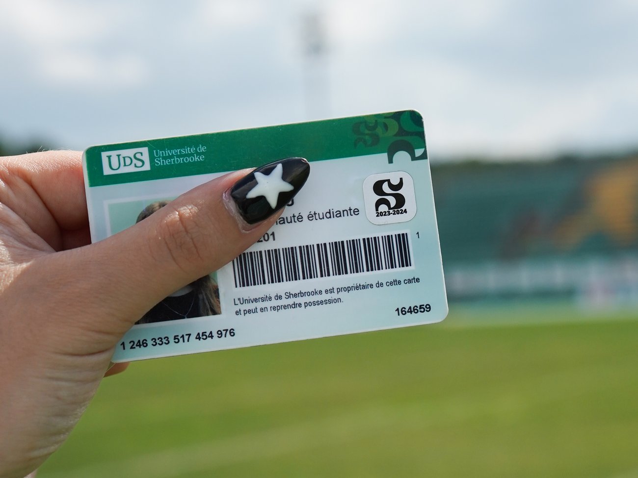 vignette fan vert et or