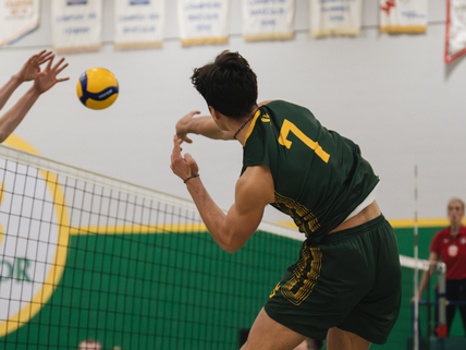 Volley
